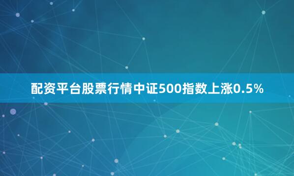 配资平台股票行情中证500指数上涨0.5%