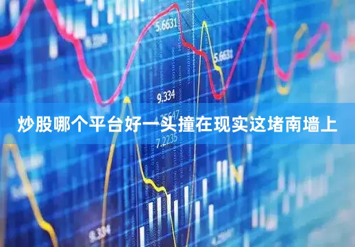炒股哪个平台好一头撞在现实这堵南墙上