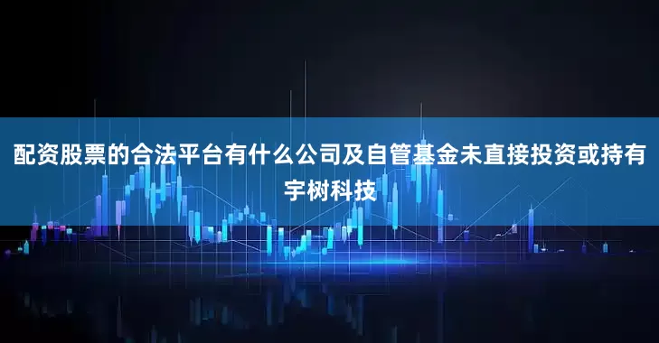 配资股票的合法平台有什么公司及自管基金未直接投资或持有宇树科技
